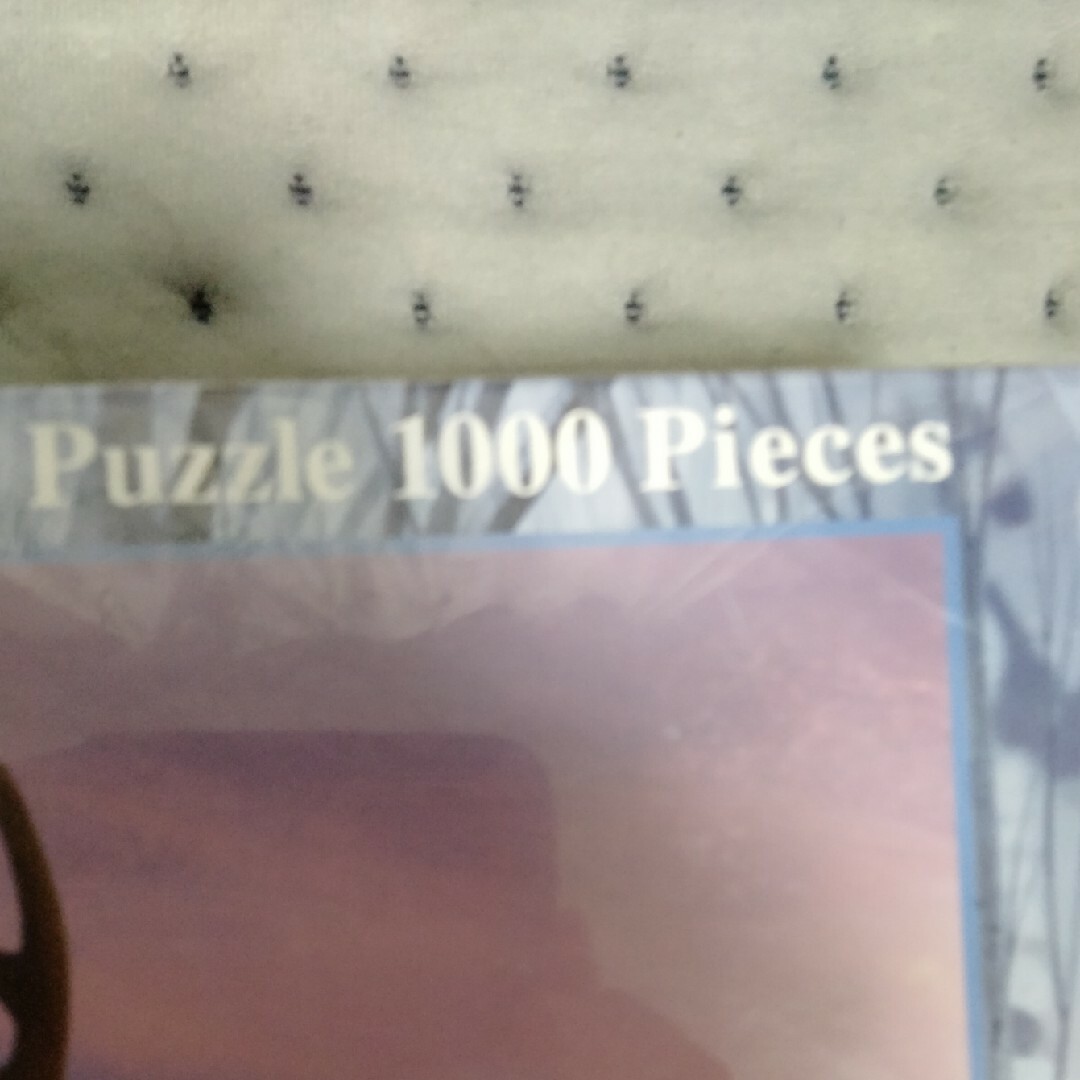 1000ピースパズル エンタメ/ホビーのおもちゃ/ぬいぐるみ(キャラクターグッズ)の商品写真