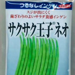 つるなしインゲン 「サクサク王子®ネオ」 野菜種12粒(野菜)