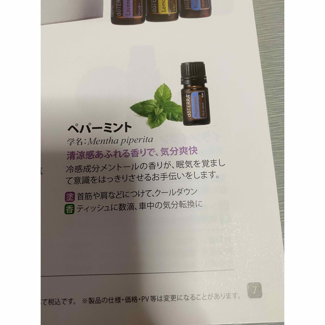 doTERRA(ドテラ)の【新品未開封】 doTERRA ドテラ ペパーミント 5ml コスメ/美容のリラクゼーション(エッセンシャルオイル（精油）)の商品写真