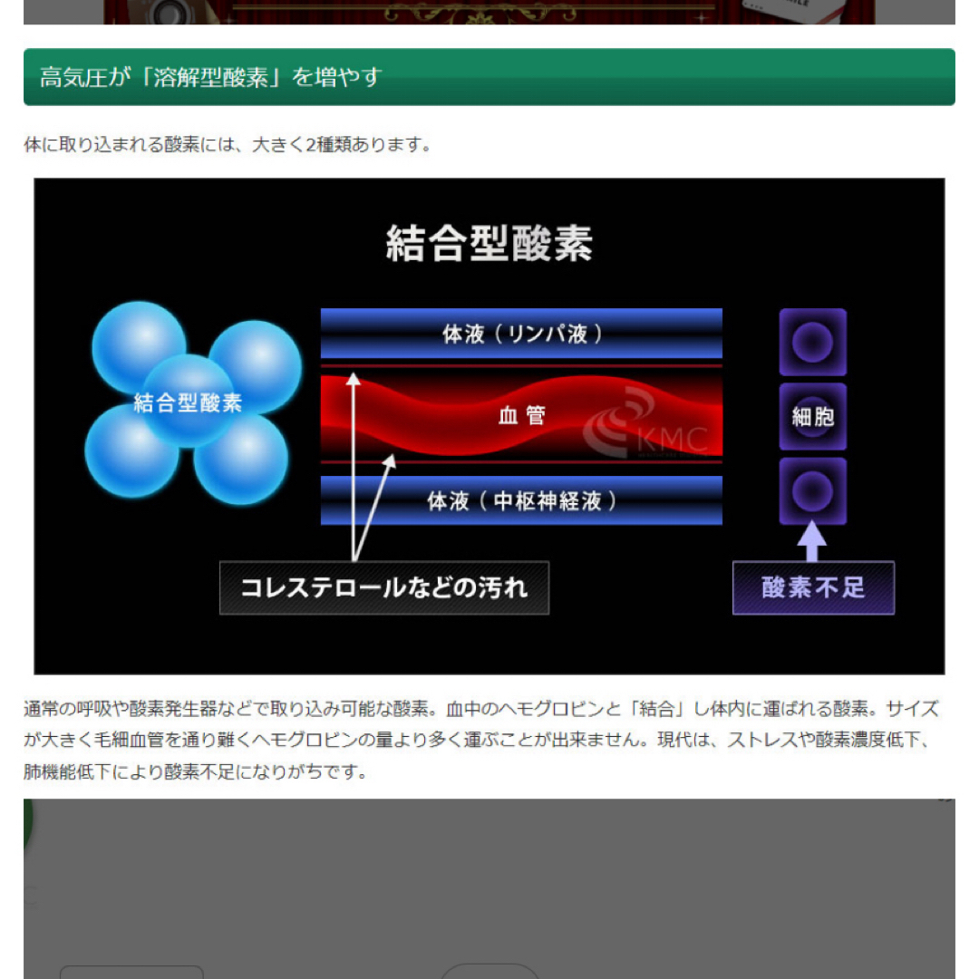 酸素カプセルOXYRIUM２０２０年購入 コスメ/美容のコスメ/美容 その他(その他)の商品写真