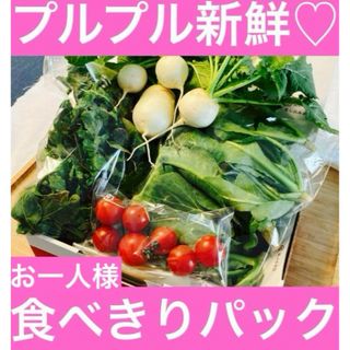 プルプル新鮮♡　お一人様食べきりパック　お野菜詰め合わせ(野菜)