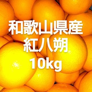 和歌山県産　紅八朔　10kg(フルーツ)