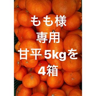 もも様　専用　愛媛県　甘平　柑橘　 5kg(フルーツ)