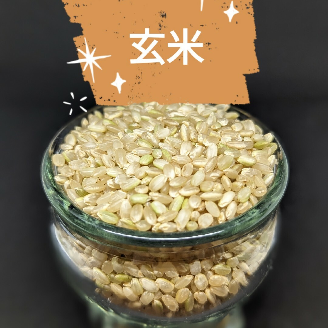 ✾福井県産ミルキークイーン✾玄米10kg✾⑤年産新米✾減農薬栽培✾ 食品/飲料/酒の食品(米/穀物)の商品写真