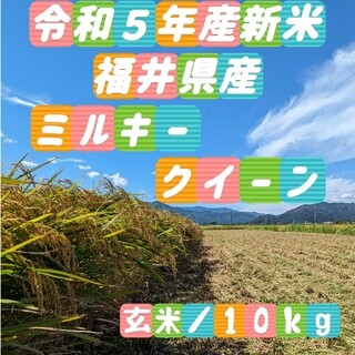 ✾福井県産ミルキークイーン✾玄米10kg✾⑤年産新米✾減農薬栽培✾(米/穀物)