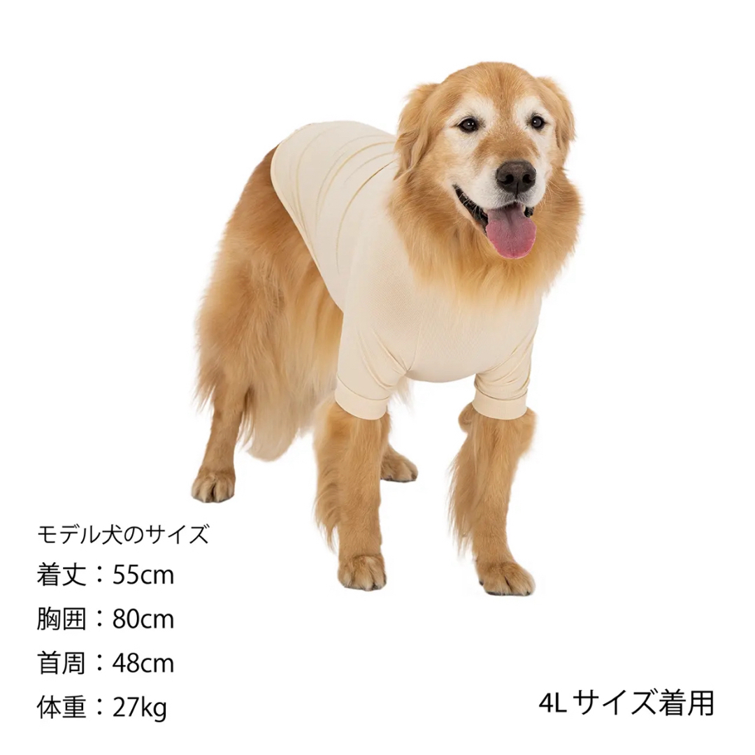 MANDARINE BROTHERS(マンダリンブラザーズ)のマンダリンブラザーズ　スキンタイトクールTシャツ　犬用品　ペットグッズ その他のペット用品(犬)の商品写真