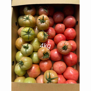 規格外トマトSー2Sサイズ(野菜)