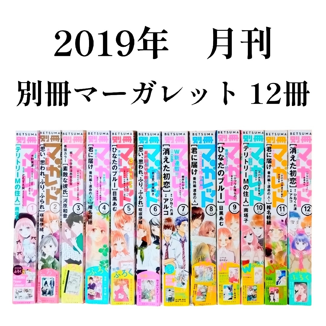 集英社(シュウエイシャ)の集英社　2019年　月刊　別冊　マーガレット　1月～12月　12冊　まとめ売り エンタメ/ホビーの漫画(少女漫画)の商品写真