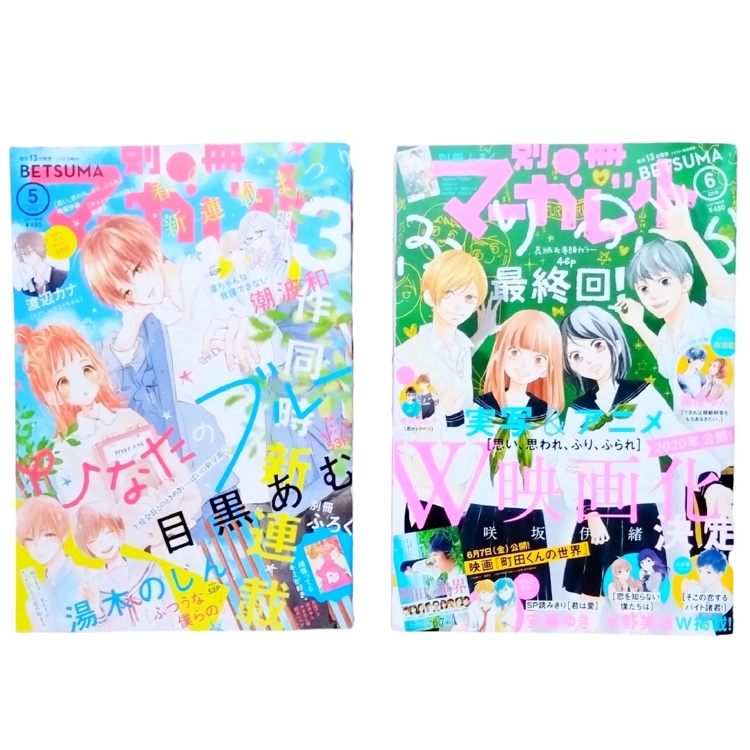 集英社(シュウエイシャ)の集英社　2019年　月刊　別冊　マーガレット　1月～12月　12冊　まとめ売り エンタメ/ホビーの漫画(少女漫画)の商品写真