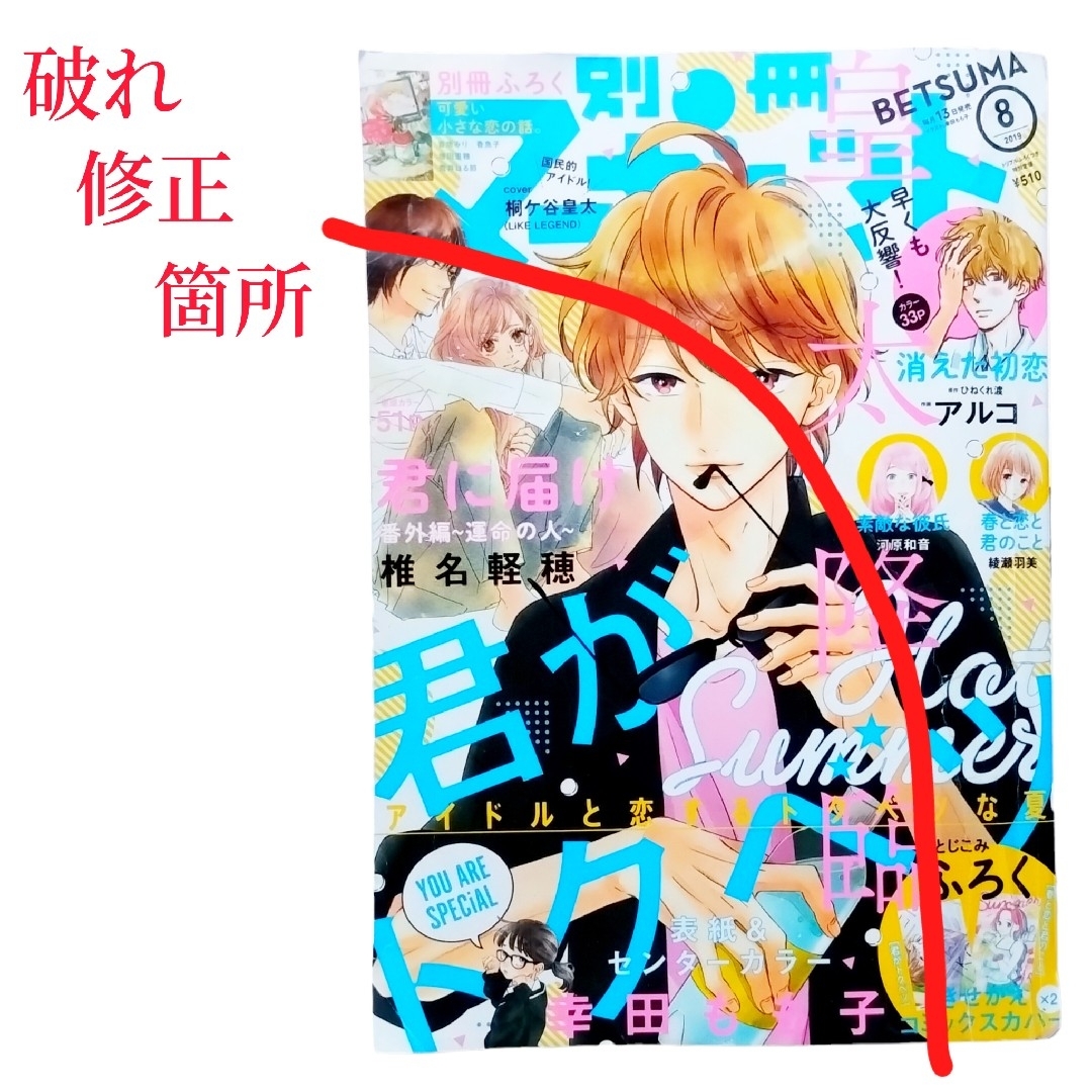 集英社(シュウエイシャ)の集英社　2019年　月刊　別冊　マーガレット　1月～12月　12冊　まとめ売り エンタメ/ホビーの漫画(少女漫画)の商品写真