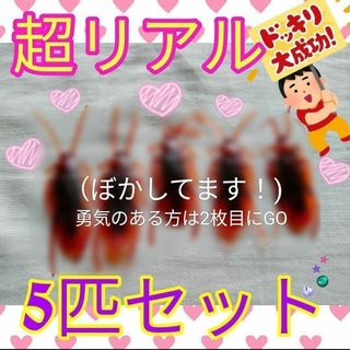 大人気✦本物そっくり✦ゴキブリ5匹セット✦小道具恐怖→大爆笑グッズ(その他)