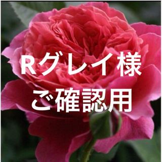 Rグレイ様　ご確認専用(その他)