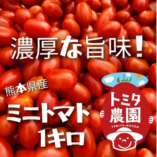 熊本県産ミニトマト「茜とまと1キロ」(野菜)