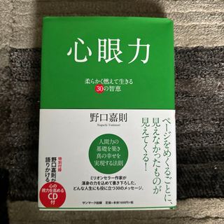 心眼力(文学/小説)