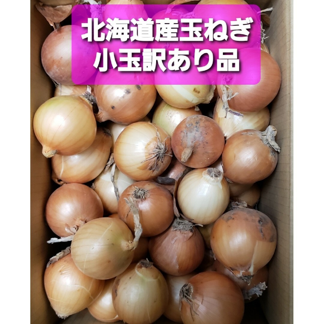 ★【送料込み】北海道産　玉ねぎ　訳あり品　２S(SS)サイズ小玉　約１０キロ 食品/飲料/酒の食品(野菜)の商品写真