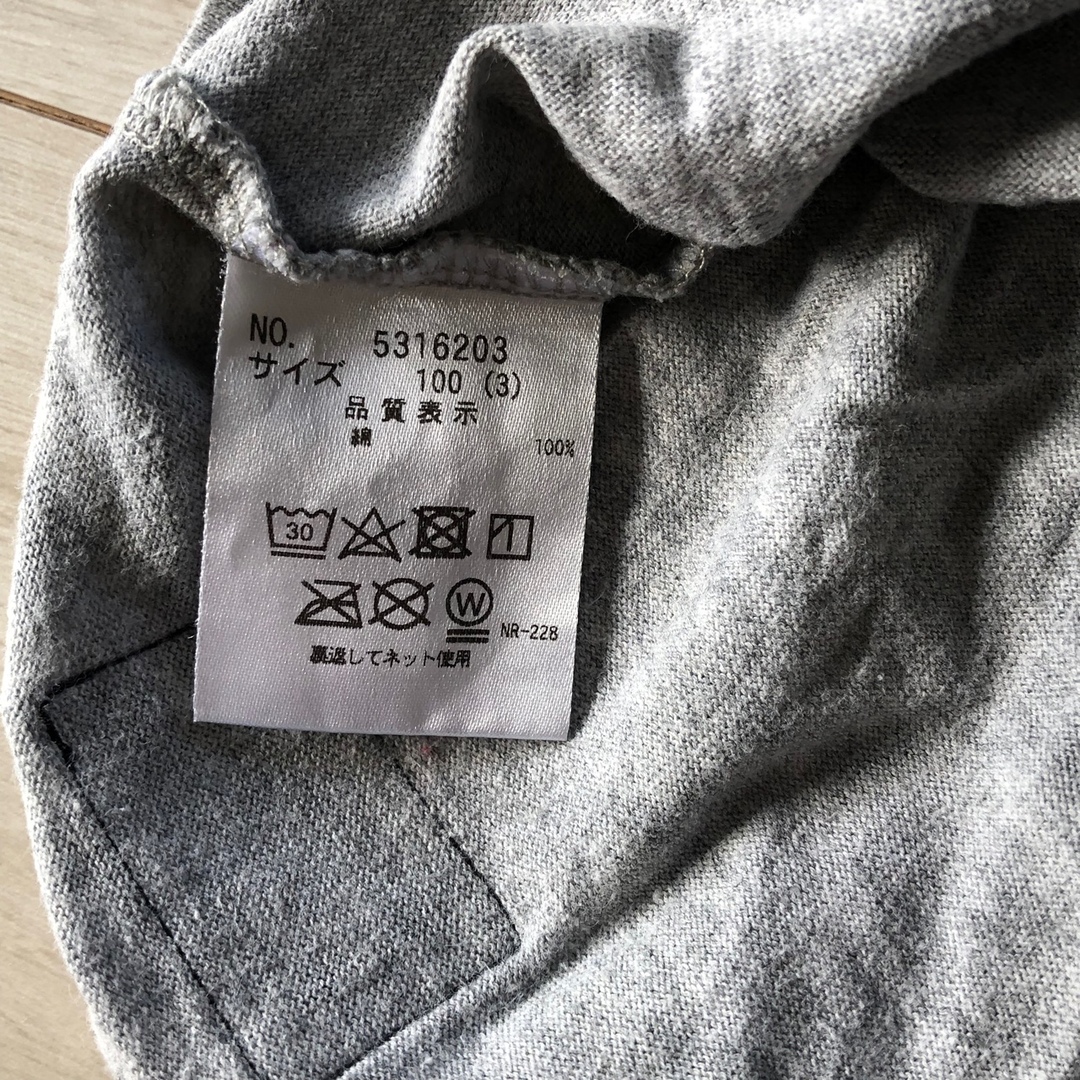 kladskap(クレードスコープ)のクレードスコープ　長袖　Tシャツ　100 恐竜　グレー キッズ/ベビー/マタニティのキッズ服男の子用(90cm~)(Tシャツ/カットソー)の商品写真