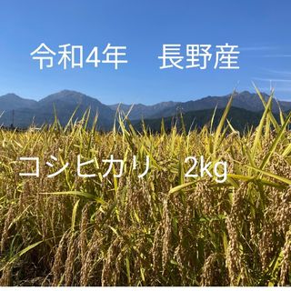 令和4年北信州産コシヒカリ　梱包込み2kg　ゆうパケットポスト(米/穀物)