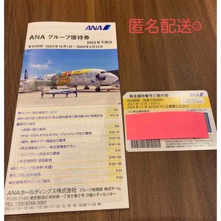 エーエヌエー(ゼンニッポンクウユ)(ANA(全日本空輸))のANA株主優待券　グループ優待券　値下げ☆(航空券)