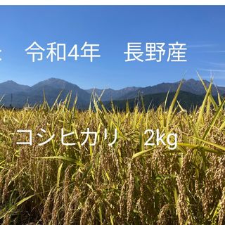 令和4年北信州産コシヒカリ　梱包込み2kg　ゆうパケットポスト(米/穀物)