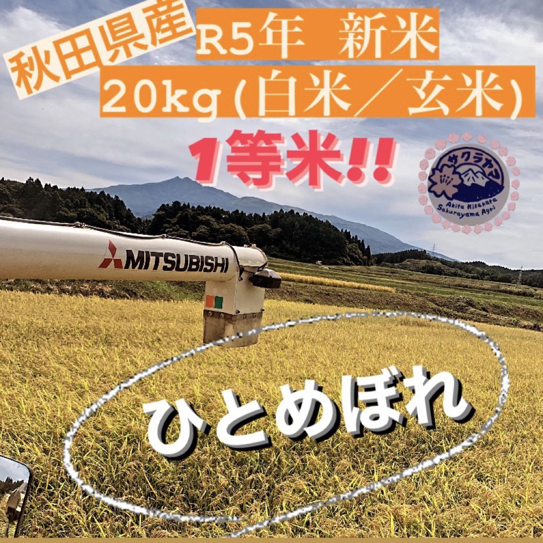 ★令和5年 ‪新米  ひとめぼれ 20kg  一等米級 秋田県産 産地直送★  食品/飲料/酒の食品(米/穀物)の商品写真