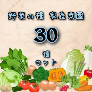 野菜の種 30種セット！ 家庭菜園 お買い得 春からいろいろな種類試したい方へ(プランター)