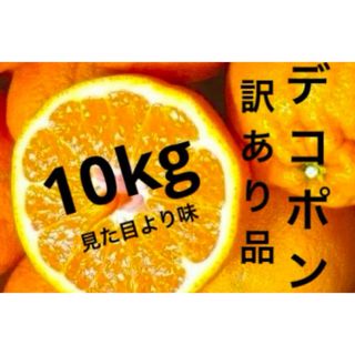 デコポン　10kg(フルーツ)