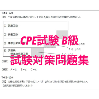 ゴンケ様専用【CPE試験‐B級】　想定問題集90問(資格/検定)
