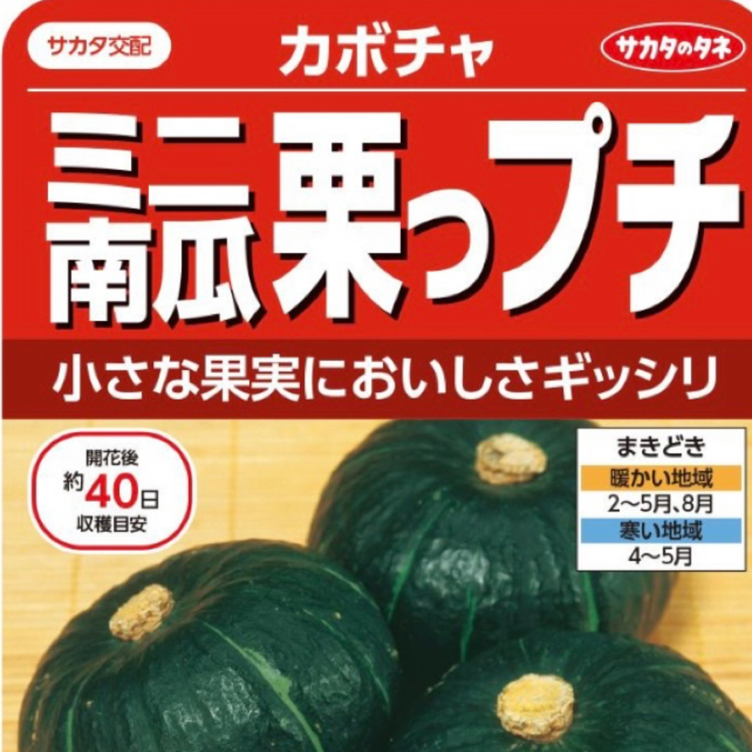 ミニ南瓜 栗っプチ 野菜種 3粒 小さな果実においしさギッシリ 食品/飲料/酒の食品(野菜)の商品写真