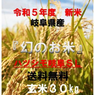 ブランド米　令和５年度『岐阜ハツシモ』新米 玄米(精米も可)　30kg　送料無料(米/穀物)