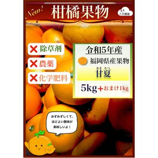 自然栽培　甘夏　無農薬・無化学肥料・除草剤不使用　5kg＋1kg(フルーツ)