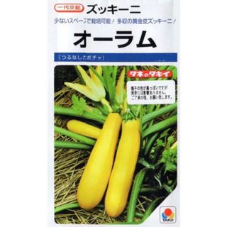 少ないスペースで栽培可能！かわいい黄色ズッキーニの種  3粒(野菜)