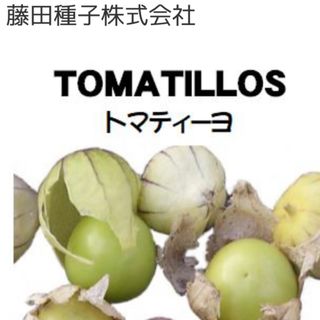 【藤田種子】トマティーヨ野菜のタネ6粒(野菜)