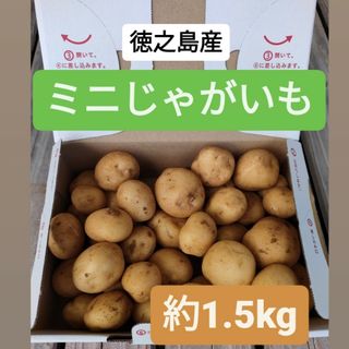 ミニじゃがいも　そのままレンチンで食べられる！(野菜)