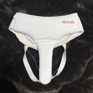 ISAMI 女子用　キックボクシング　空手　パッド　(格闘技/プロレス)