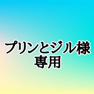 プリンとジル様専用出品(プリザーブドフラワー)