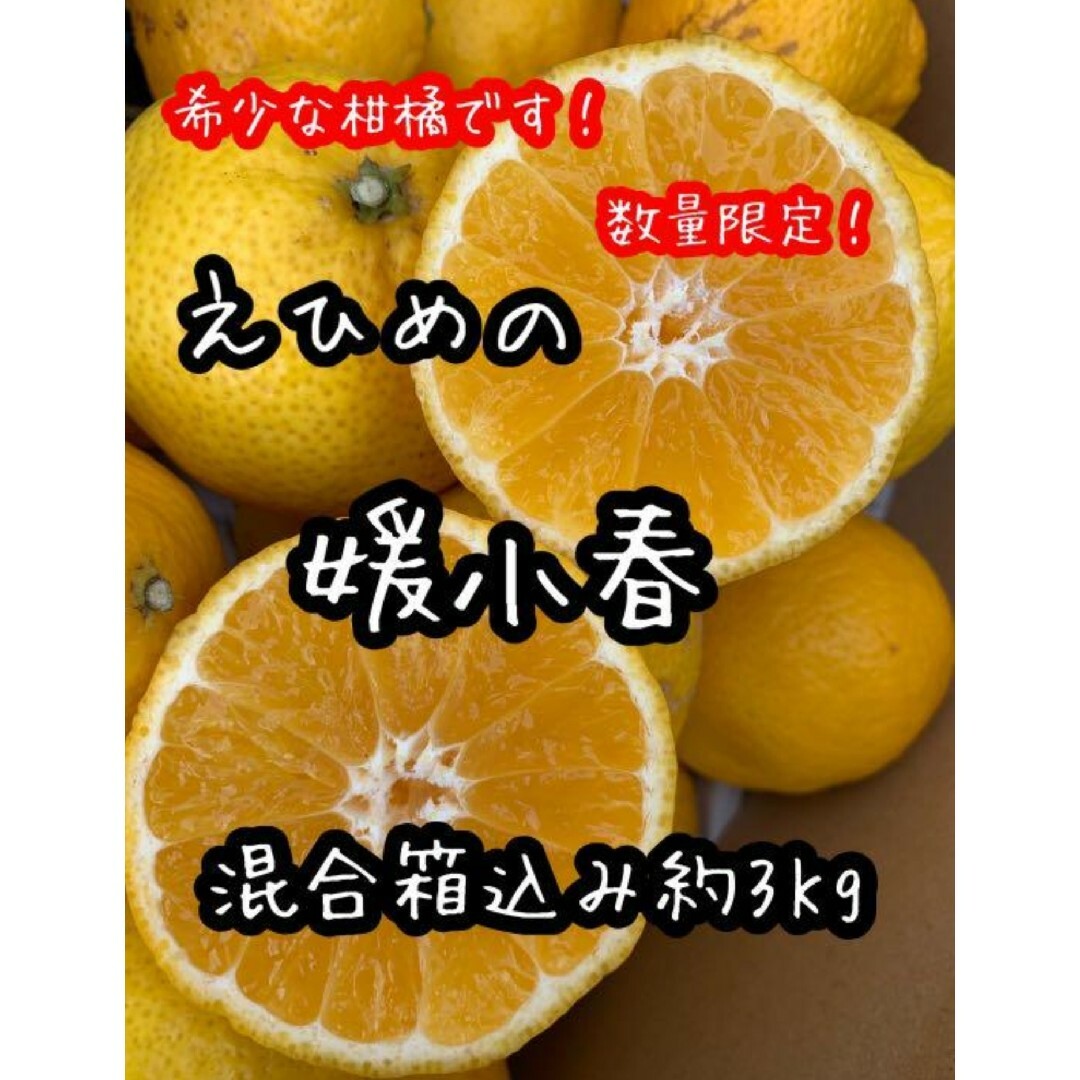 愛媛県産　媛小春　3㎏　ひめこはる　柑橘　ミカン 食品/飲料/酒の食品(フルーツ)の商品写真