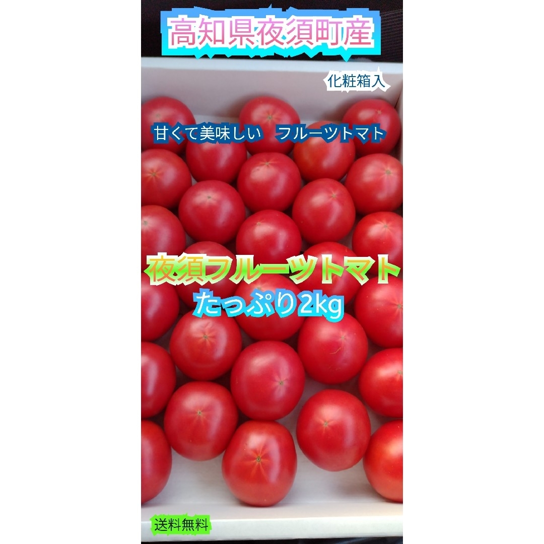 ○高知県夜須町産 夜須トマト  フルーツトマト  2kg  送料無料  高知から 食品/飲料/酒の食品(野菜)の商品写真