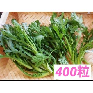 昭和からの味 春菊 シュンギク 400粒 1.2g 2ml◆家庭菜園(野菜)