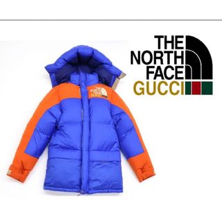 ザノースフェイス(THE NORTH FACE)の定価37万新品 GUCCI×THE NORTH FACEダウンジャケット(ダウンジャケット)