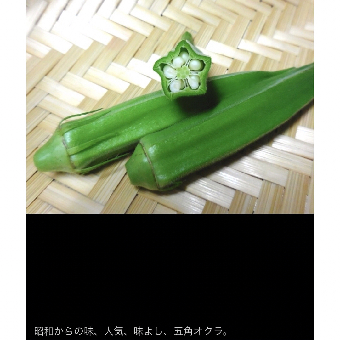 昭和からの味 五角オクラ40粒 味よし 花おくら サラダオクラ スプラウト 食品/飲料/酒の食品(野菜)の商品写真