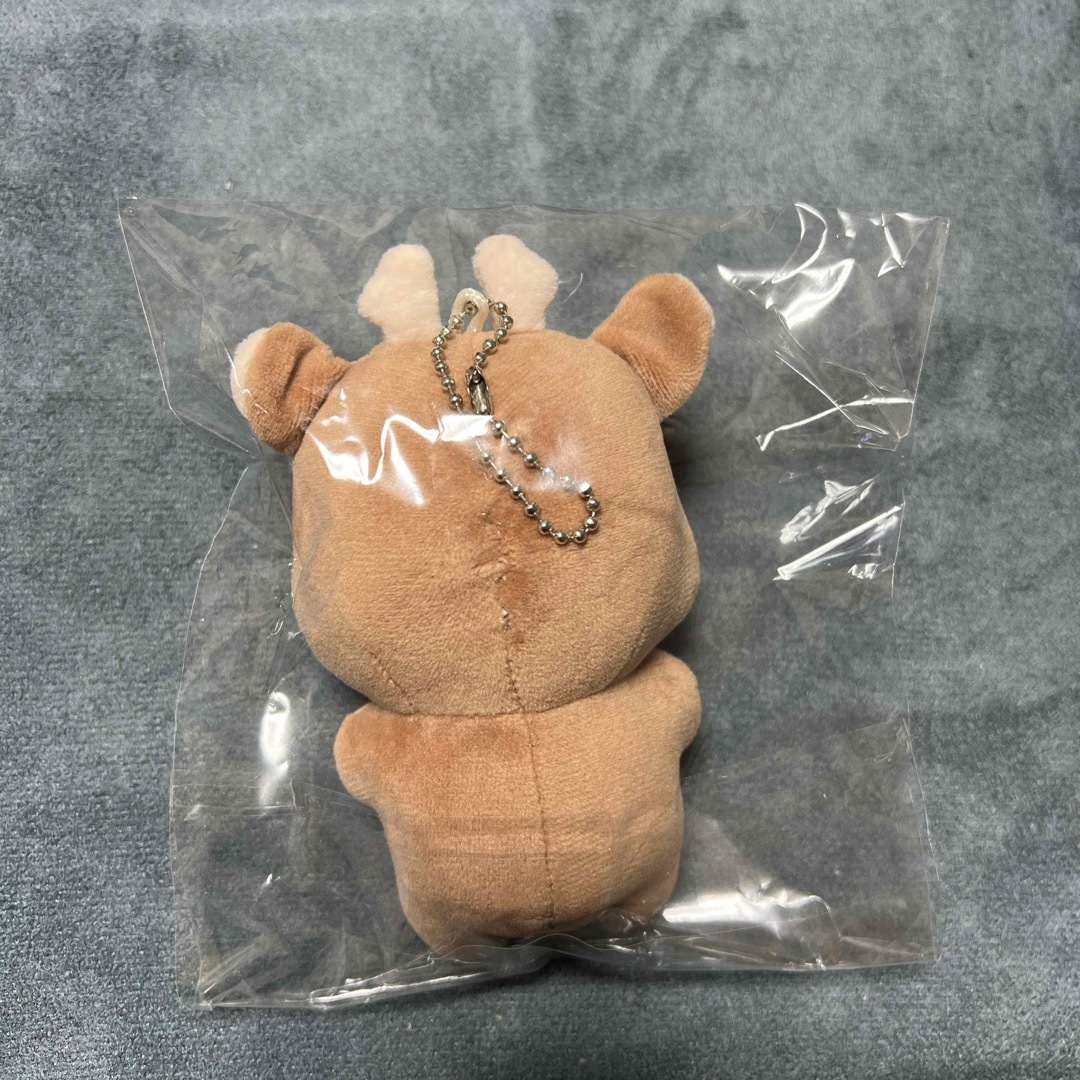 enhypen ヒスン ぬいぐるみ 10cm 新品 マスターの通販 by