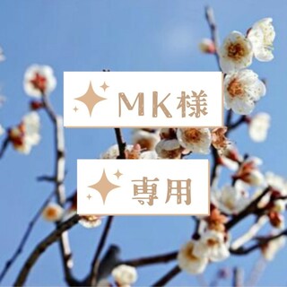 MK様専用②(衣装)
