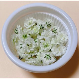 ドライフラワー 花材 かすみ草 ホワイト 80粒(各種パーツ)