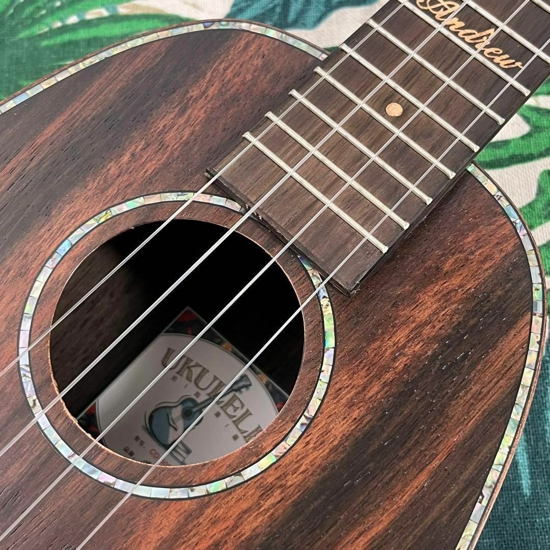 【Andrew ukulele】黒檀材(エボニー)のエレキ・コンサートウクレレ 楽器のウクレレ(コンサートウクレレ)の商品写真