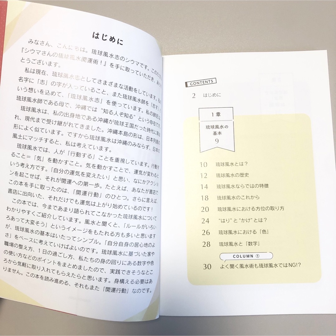 シウマさんの琉球風水開運術! エンタメ/ホビーの本(趣味/スポーツ/実用)の商品写真