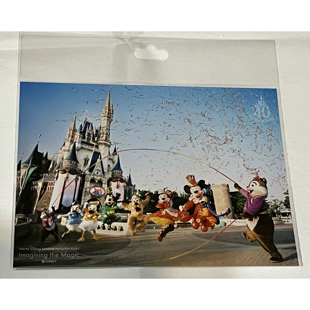 Disney(ディズニー)のディズニー 40周年 イマジニングザマジック　写真 エンタメ/ホビーの美術品/アンティーク(写真)の商品写真