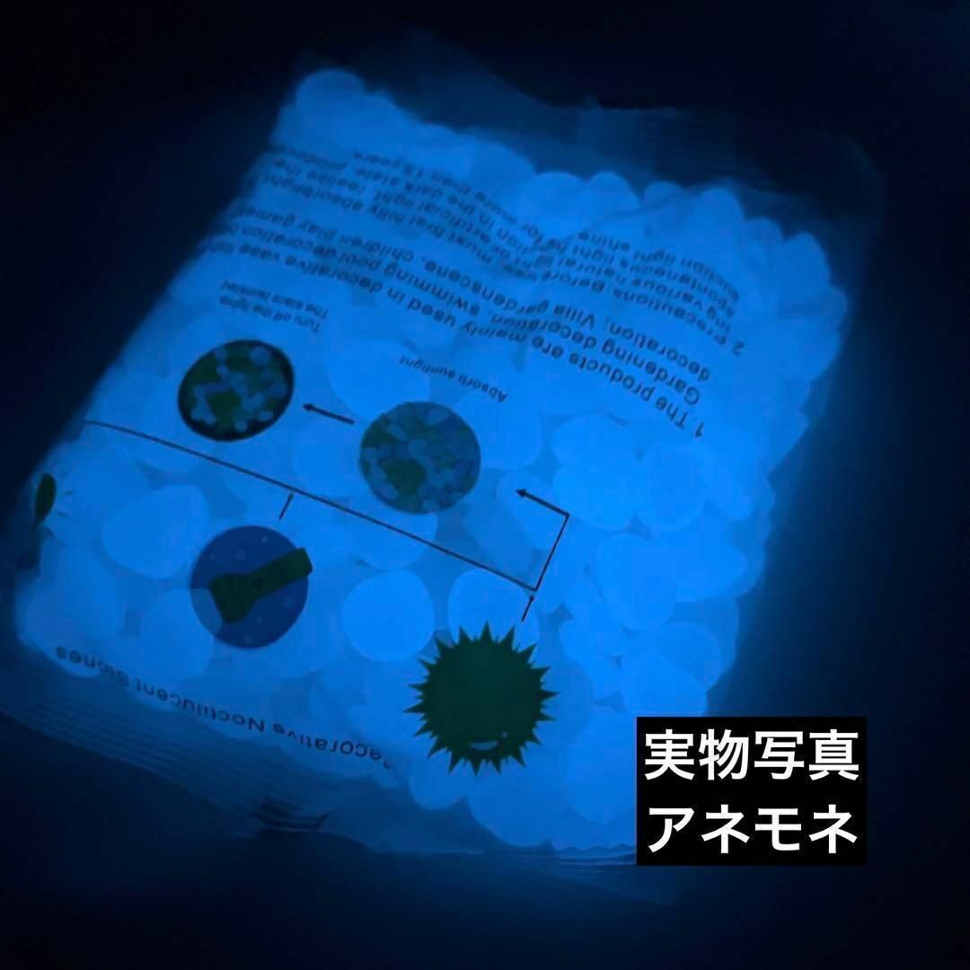 蓄光石 300個 アクアマリン 光る石 ガーデニング 園芸  水槽 夜光石 インテリア/住まい/日用品のインテリア小物(その他)の商品写真
