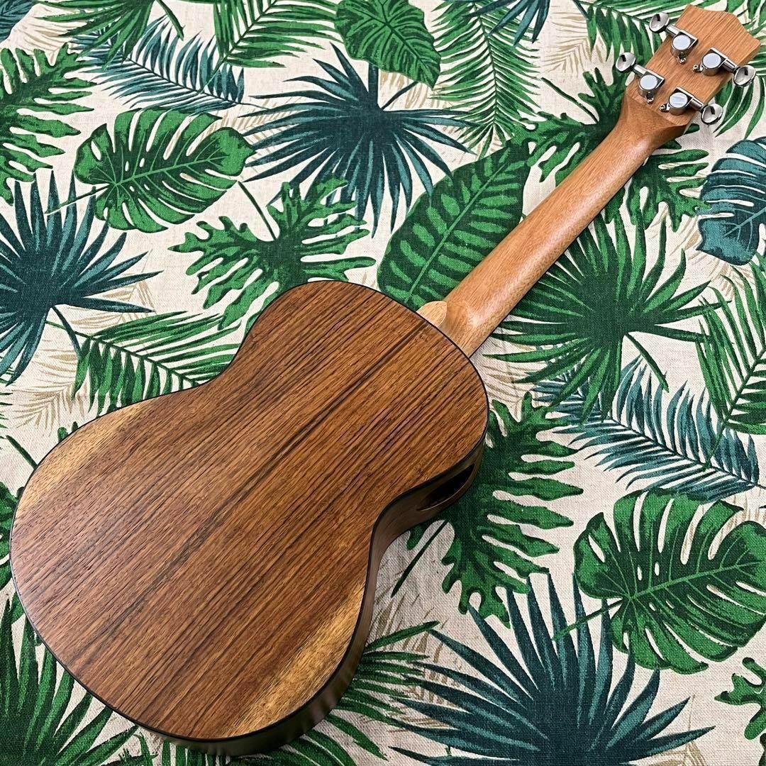 ウクレレ専門店ホアピリ【IRIN ukulele】ウォルナット材のエレキ・テナーウクレレ【入門セット】