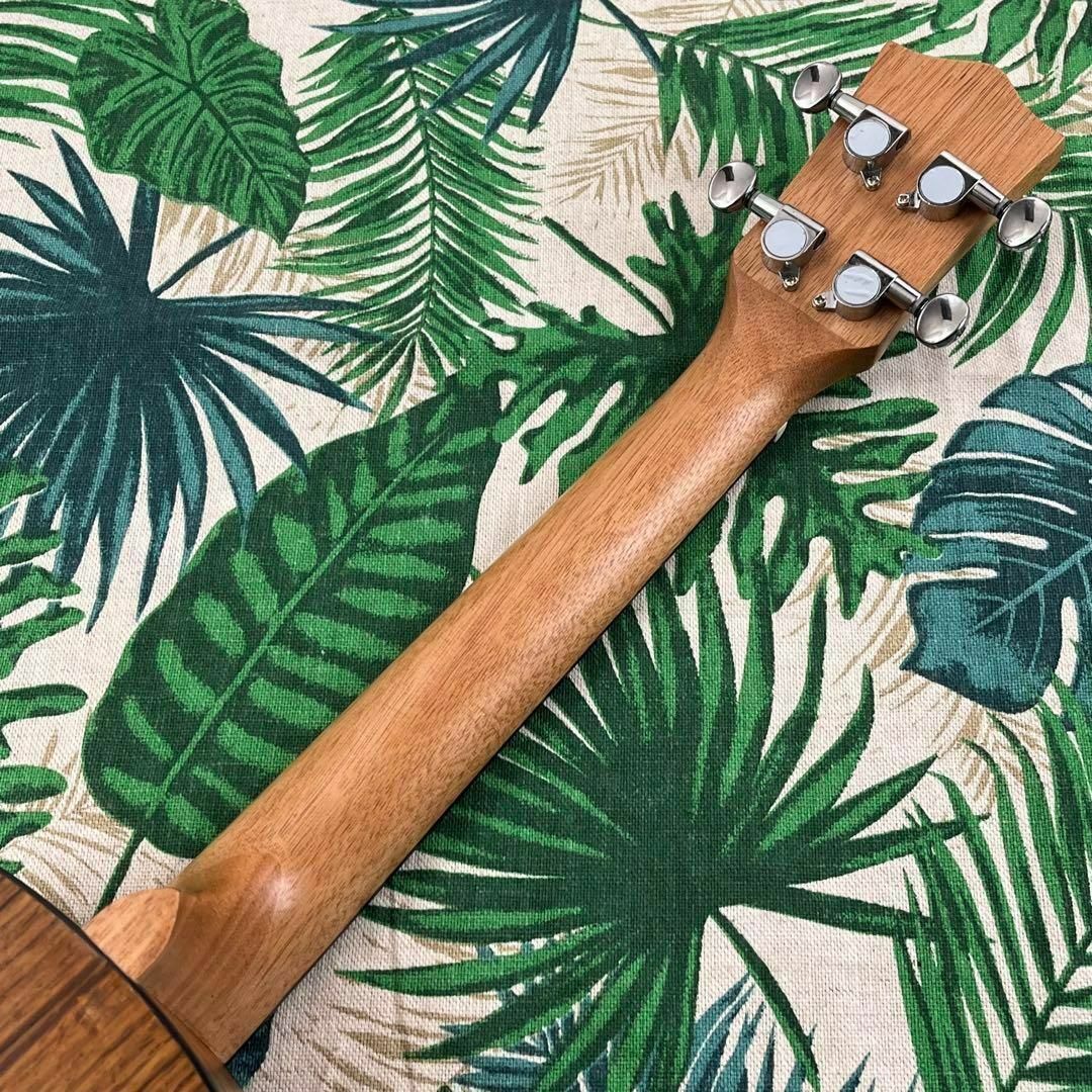 【IRIN ukulele】ウォルナット材のエレキ・テナーウクレレ【入門セット】 楽器のウクレレ(テナーウクレレ)の商品写真