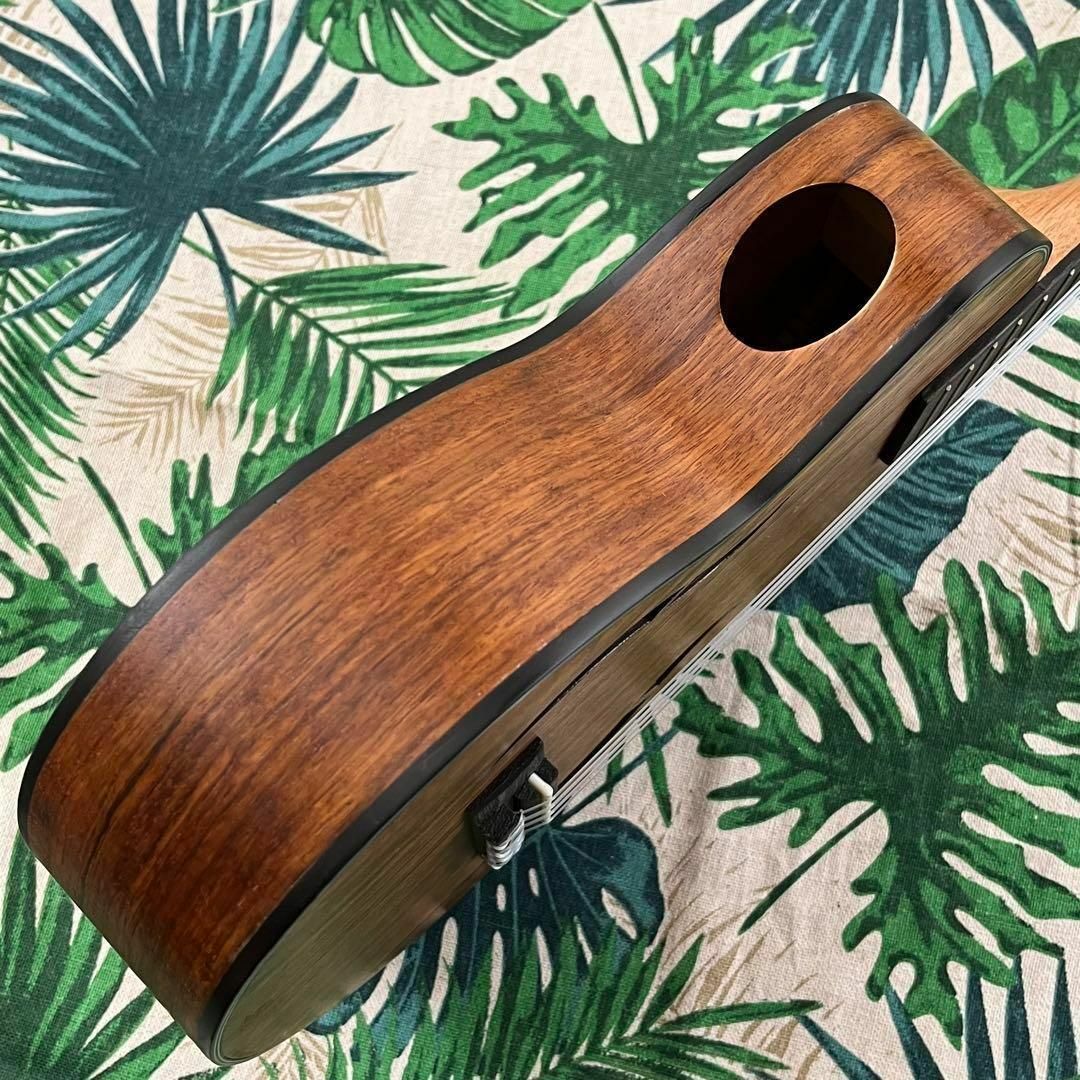 【IRIN ukulele】ウォルナット材のエレキ・テナーウクレレ【入門セット】 楽器のウクレレ(テナーウクレレ)の商品写真